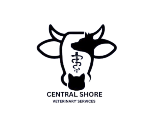 Central Shore Veterinary Services