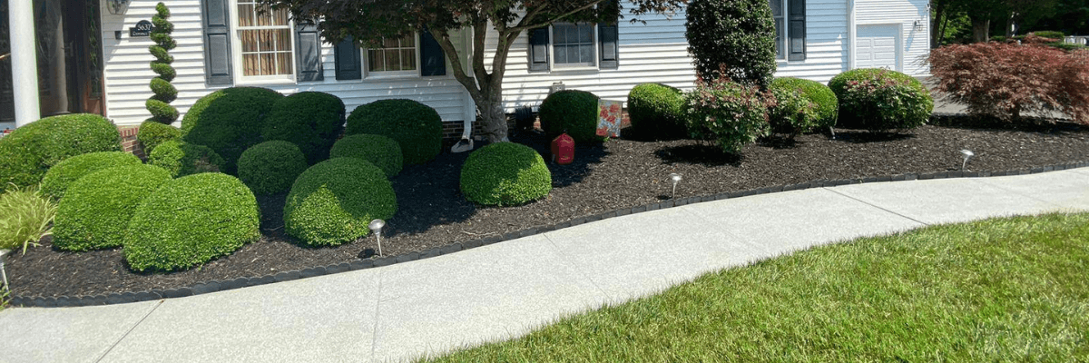 Hernandez Lawn Care in Princess Anne, MD